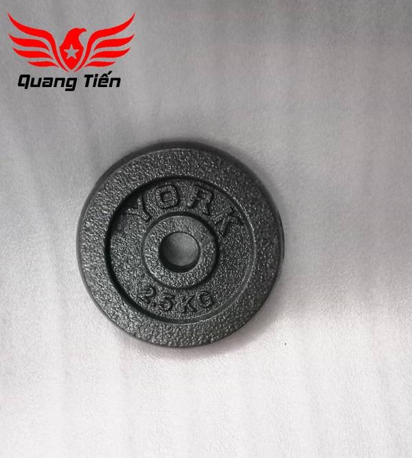 Tạ bánh đĩa sắt nhập khẩu siêu đẹp sơn bóng đủ cân