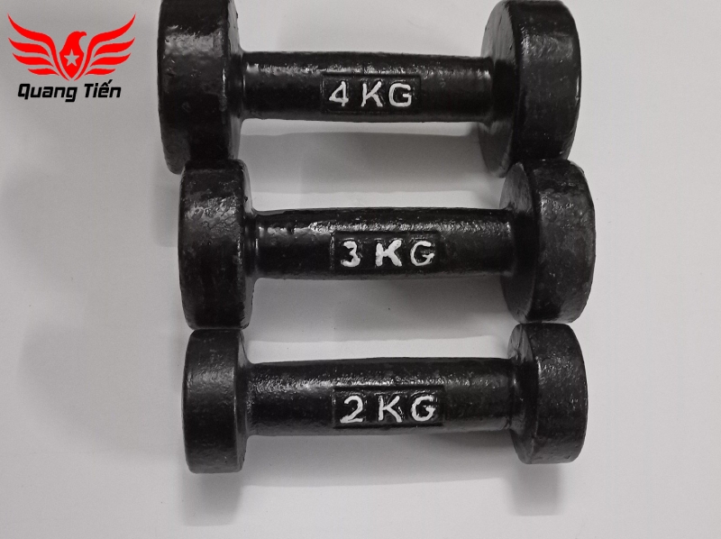 Tạ tay gang đúc loại đẹp 2022 4 kg ( giá 1 quả )