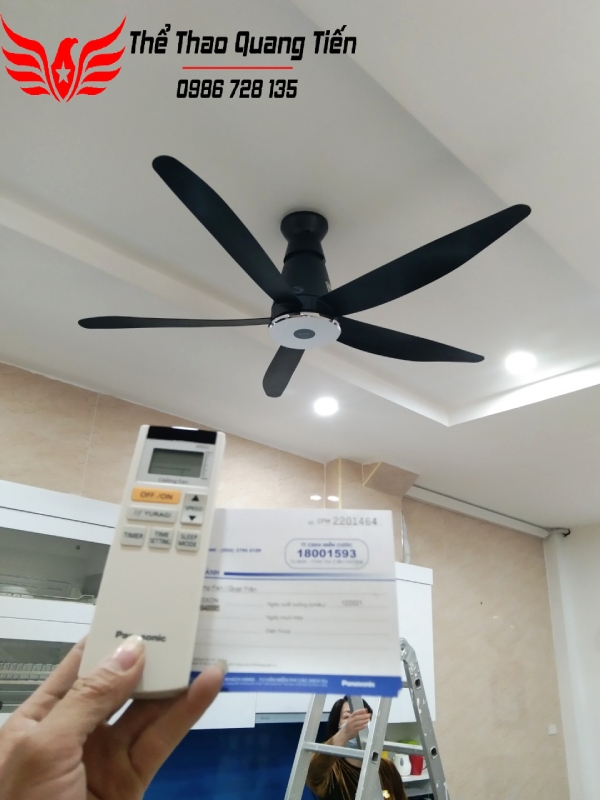Quạt trần 5 cánh Panasonic DC F-60XDN ĐEN