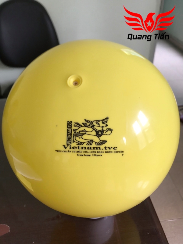 Bóng chuyền hơi loại đẹp 200g 250g 300g