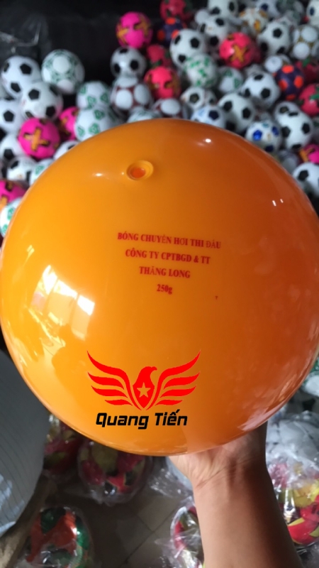 Bóng chuyền hơi loại đẹp 200g 250g 300g