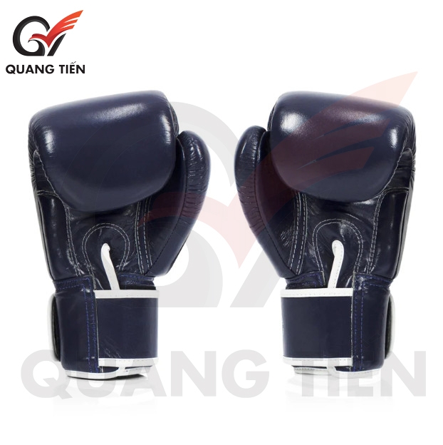 Găng Tay Boxing Fairtex BGV1 australia day