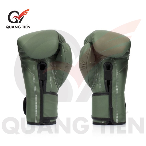 Găng Tay Boxing Fairtex BGV1 F-DAY