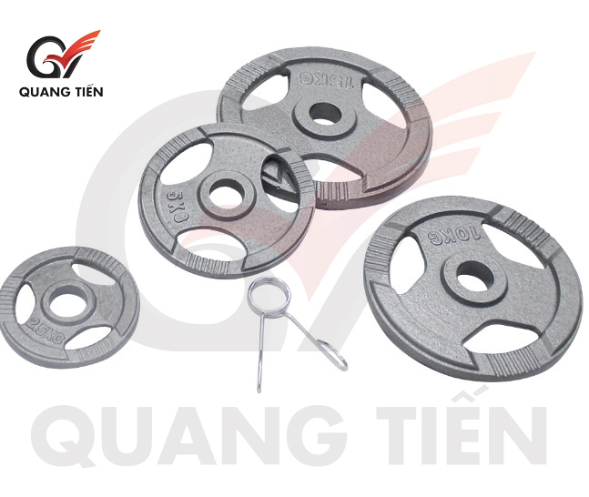 Tạ bánh sắt 5kg olympic sơn tĩnh điện cao cấp chính hãng (phi 28)