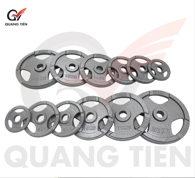 Tạ bánh sắt 10kg olympic sơn tĩnh điện cao cấp chính hãng (phi 28)
