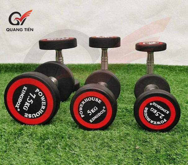 Tạ tay đơn thép bọc cao su 17,5kg Kingbox