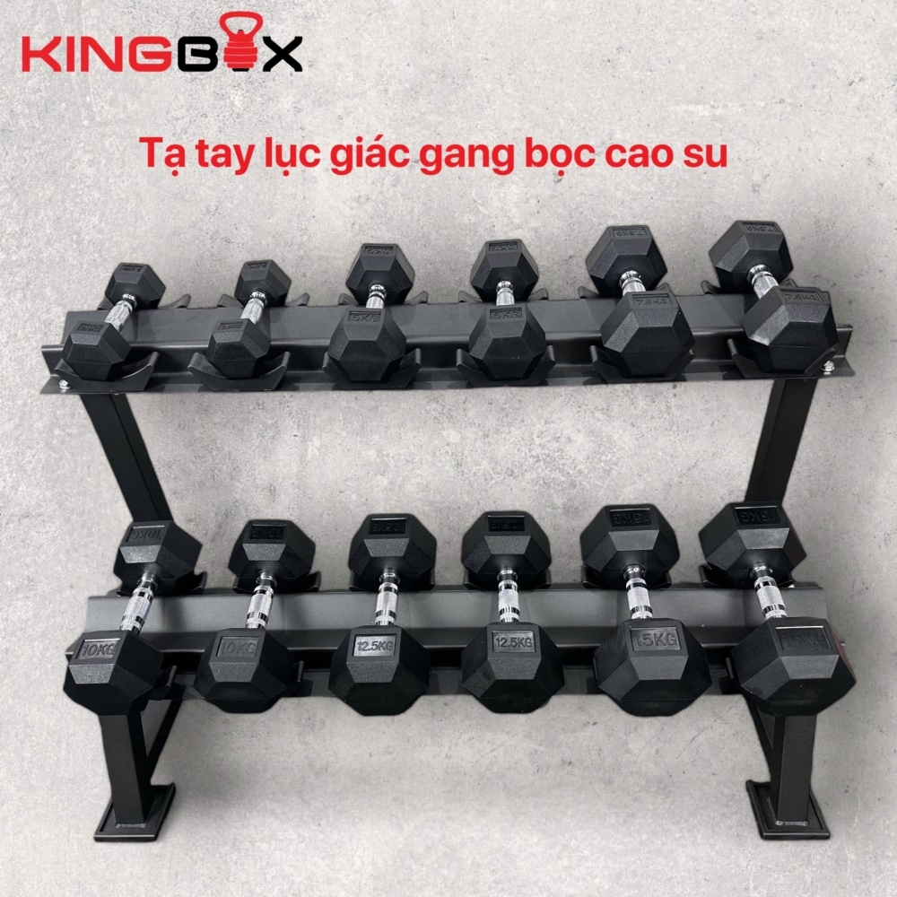 Tạ tay đơn lục giác Gang bọc cao su ( giá 1 chiếc )