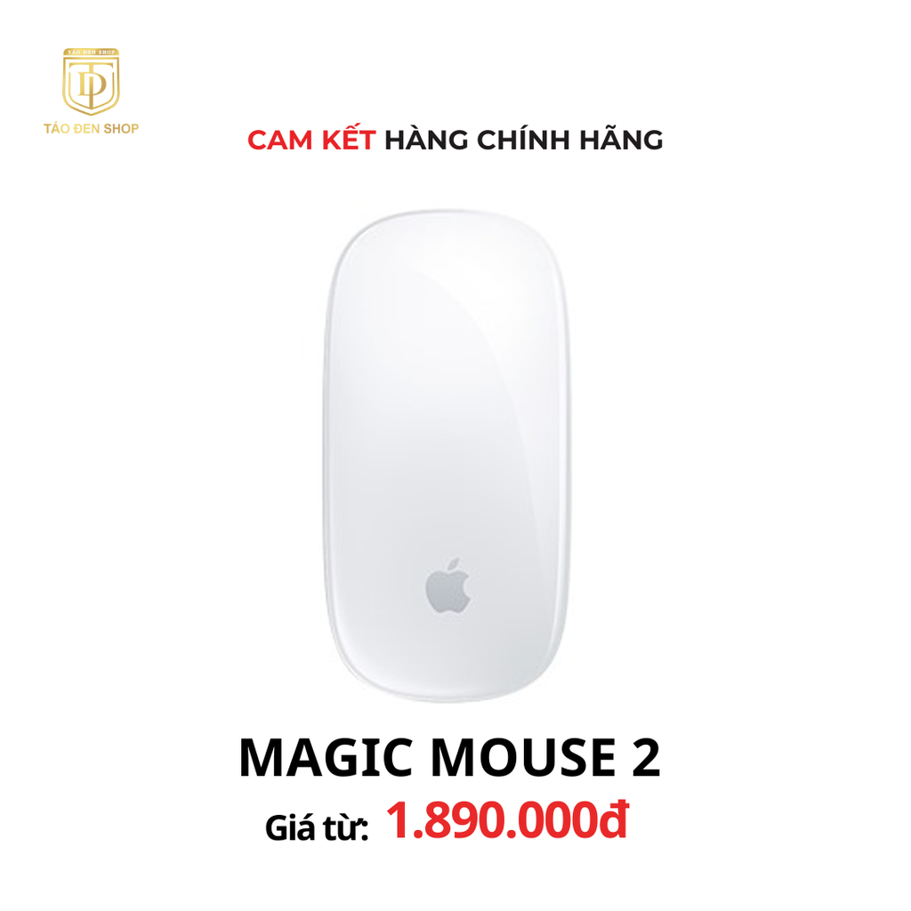 Magic Mouse 2