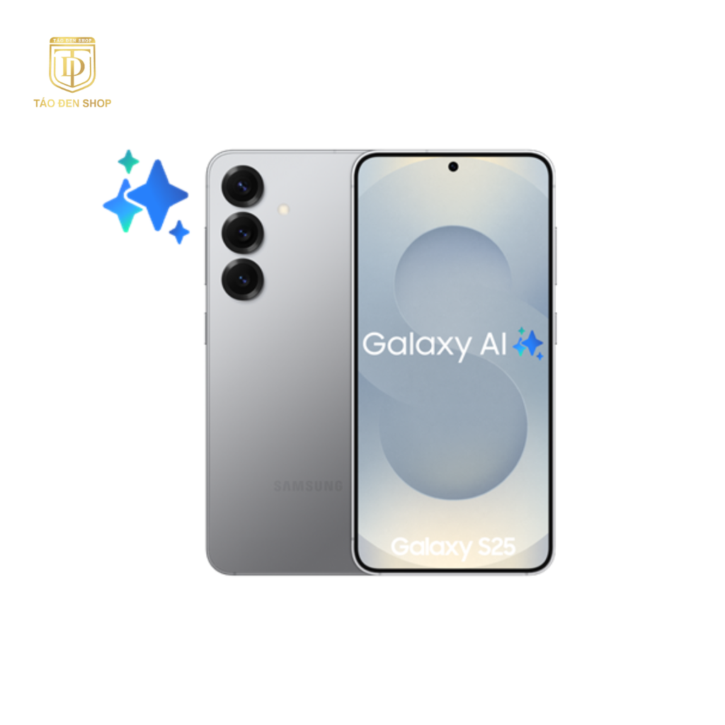 Samsung Galaxy S25 Plus Xám
