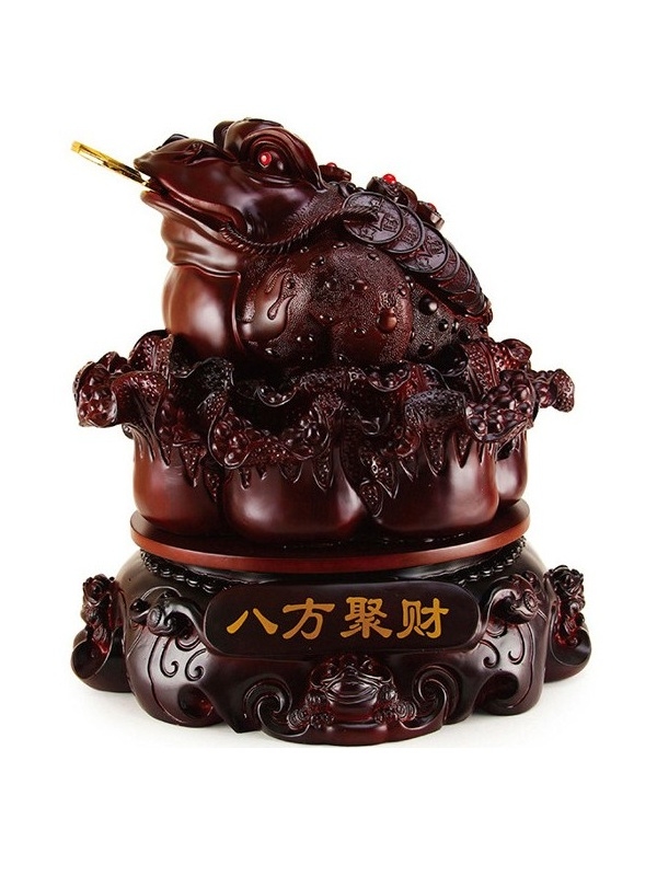 Cóc ngậm tiền (Thiềm thừ, kim thiền)