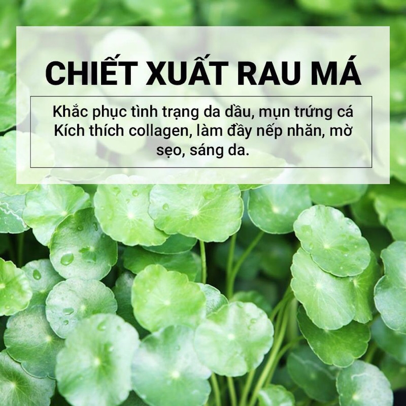 [KHÔNG VÒI PUMBU] Tinh Chất Rau Má Giảm Mụn Skin1004 Madagascar Centella Asiatica Ampoule 30ml 