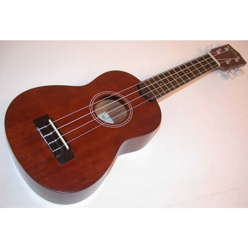 Phương Pháp Tự Học Đàn Ukulele