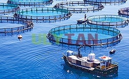 DỊCH THUẬT TIẾNG ANH CHUYÊN NGÀNH NUÔI TRỒNG THỦY SẢN