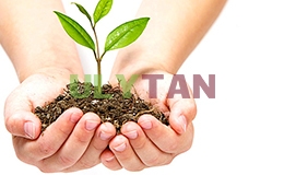 DỊCH THUẬT TIẾNG ANH CHUYÊN NGÀNH BẢO VỆ THỰC VẬT