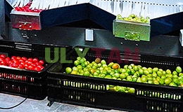 DỊCH THUẬT TIẾNG ANH CHUYÊN NGÀNH CÔNG NGHỆ RAU HOA QUẢ