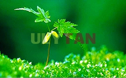 DỊCH THUẬT TIẾNG ANH CHUYÊN NGÀNH KỸ THUẬT MÔI TRƯỜNG