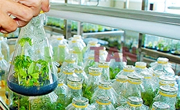 DỊCH THUẬT TIẾNG ANH CHUYÊN NGÀNH CÔNG NGHỆ THỰC PHẨM