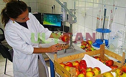 DỊCH THUẬT TIẾNG ANH CHUYÊN NGÀNH CÔNG NGHỆ SAU THU HOẠCH