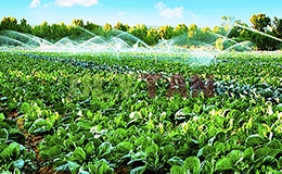 DỊCH THUẬT TIẾNG ANH CHUYÊN NGÀNH NÔNG NGHIỆP