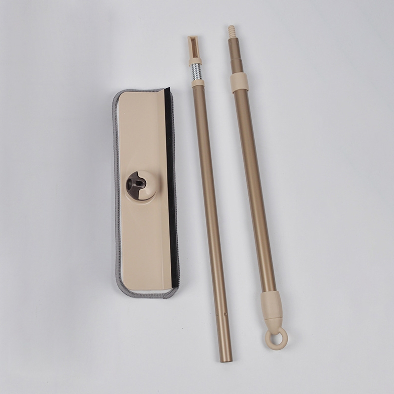 Cây lau kính C5
