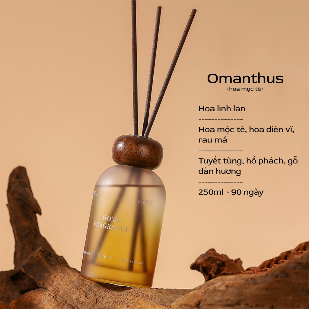 Tinh dầu thơm Donglai 250ml