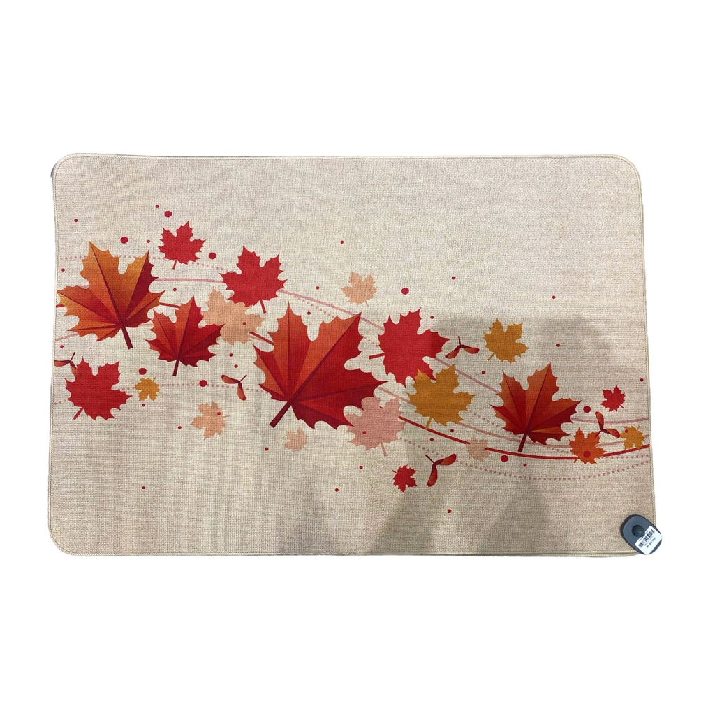 Thảm lanh sz 60*90