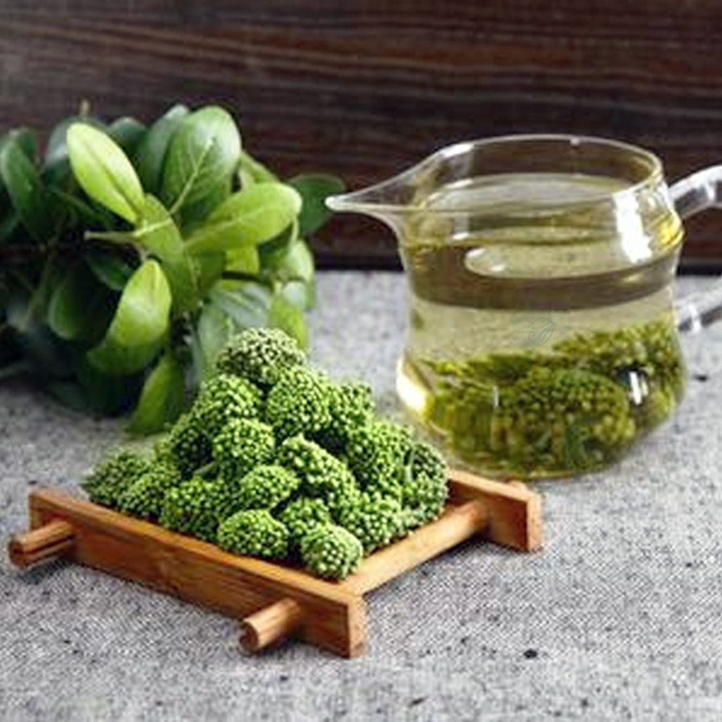 Cách ngâm rượu nụ hoa tam thất chữa bệnh đơn giản nhất Cách ngâm rượu nụ hoa tam thất chữa bệnh đơn giản nhất