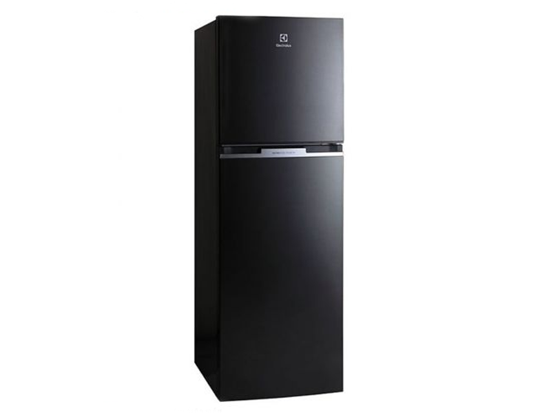Tủ lạnh Electrolux ETB2600BG 260Lít Inverter