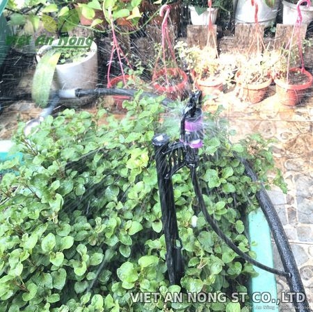 Béc tưới không bù áp chỉnh bán kính AQ206HT tím