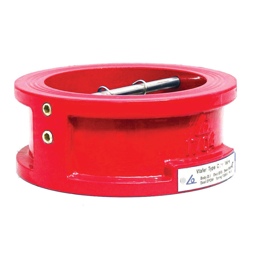 Van một chiều bướm Shin Yi