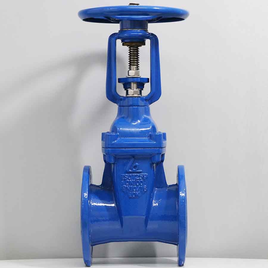 Van cổng ty nổi FM Shin Yi