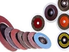 Hình ảnh của các loại nhám xếp tại Việt Nam