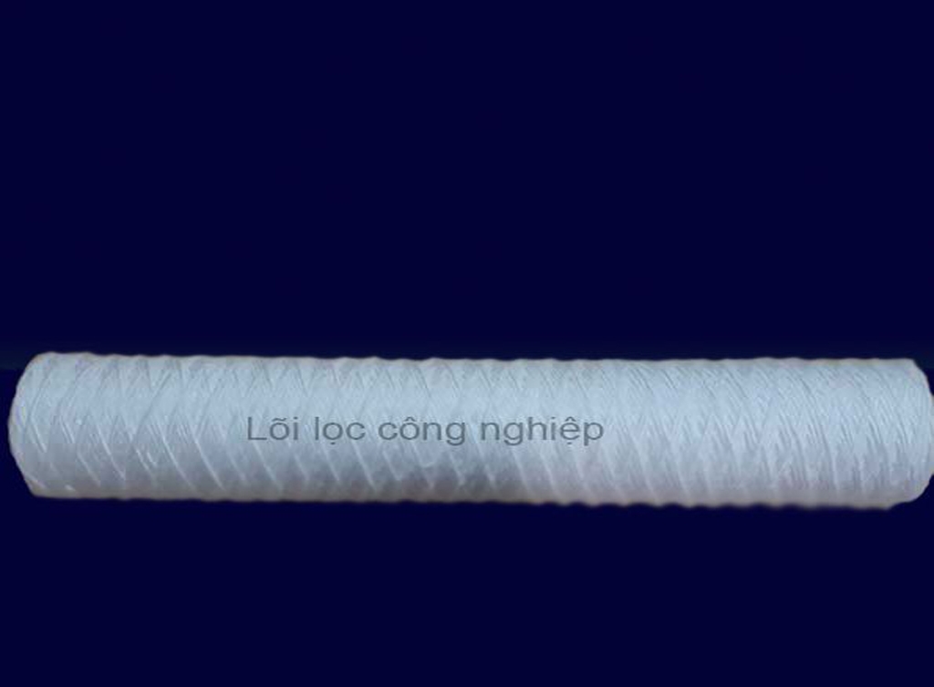  Lõi lọc công nghiệp CWF-01
