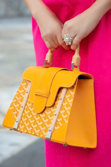 Túi Goyard Sài Gòn