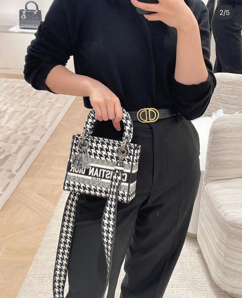Túi Dior Laby D-Lite