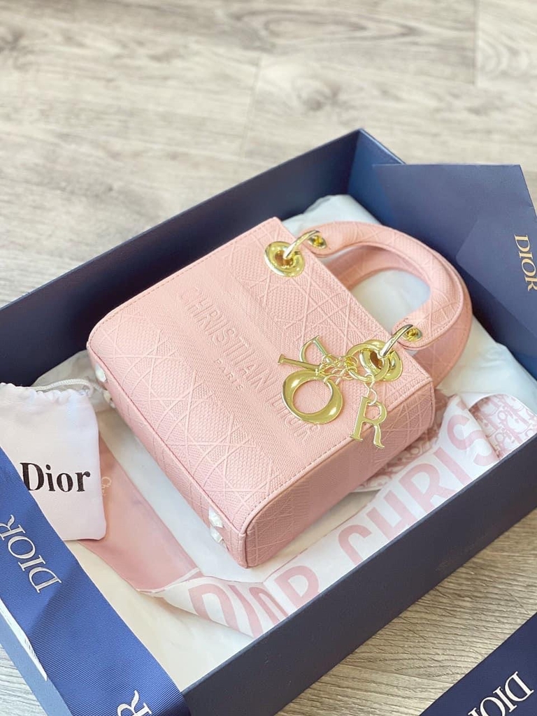 Túi Dior Laby D-Lite