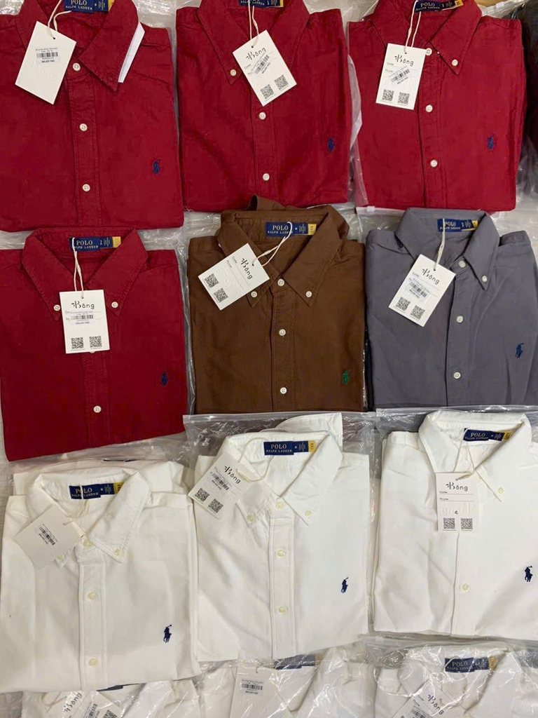 Sơ mi Polo cổ đức 100% cotton 4 màu