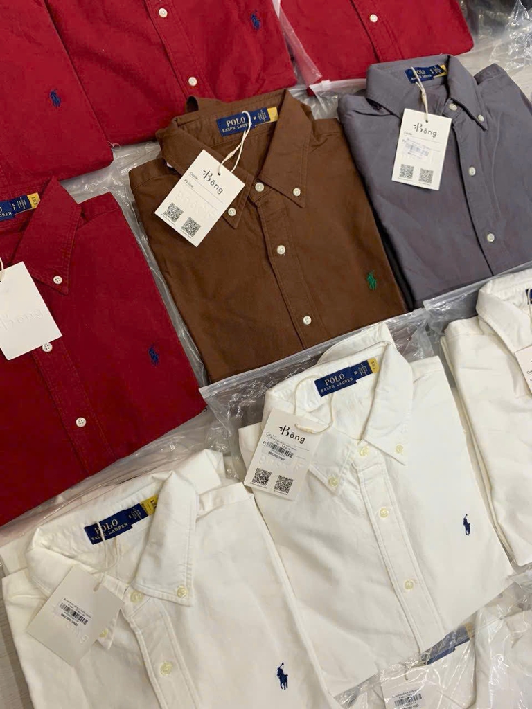 Sơ mi Polo cổ đức 100% cotton 4 màu