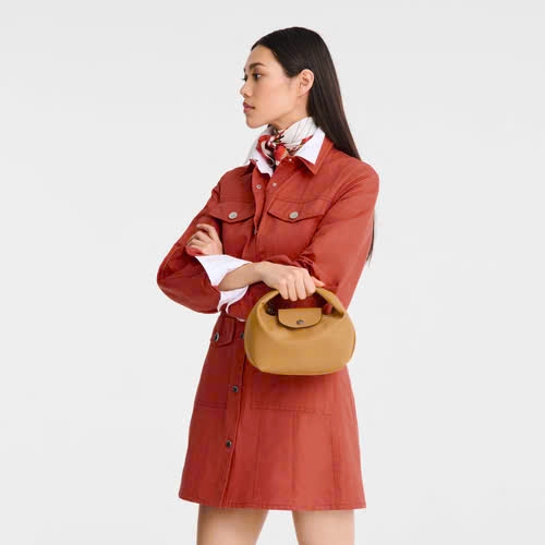 Túi Longchamp cặp lồng da