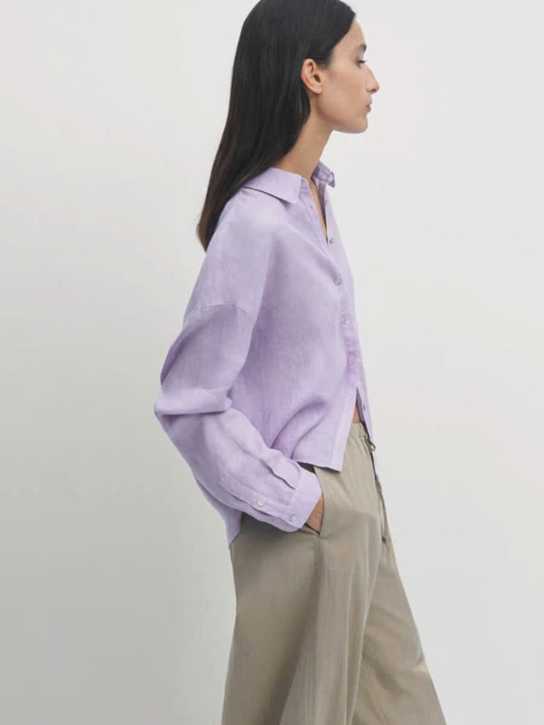 Sơ mi Massimo Dutti cổ đức