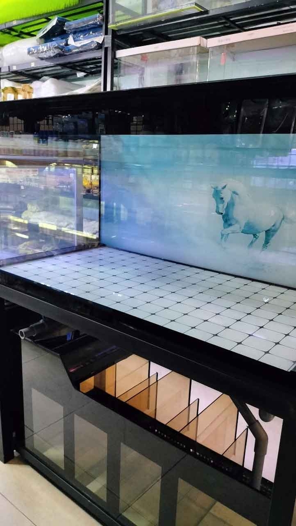HỒ CÔNG NGHỆ 1M2X60X60