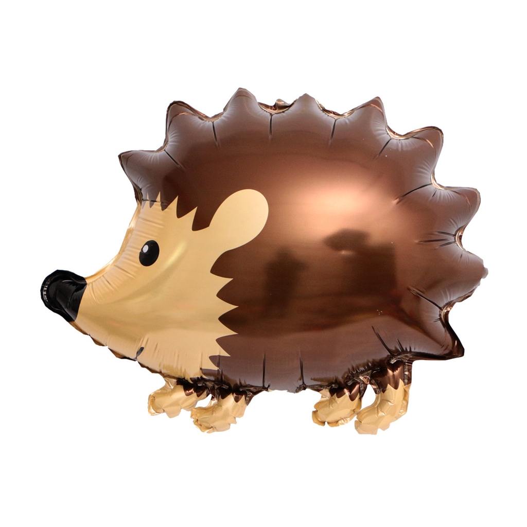 BÓNG HÌNH CON NHÍM