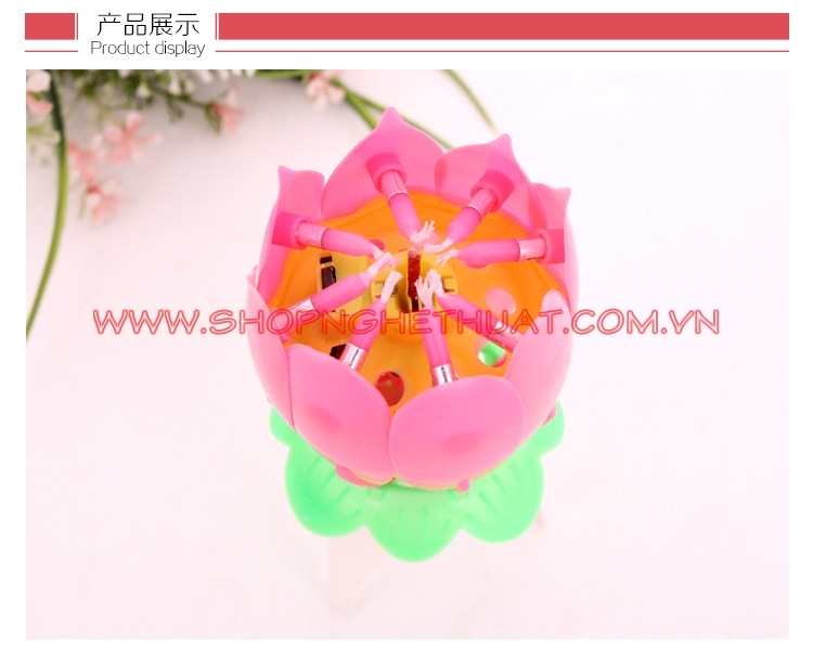 Nến cây sinh nhật lửa đủ màu sắc  Pink bow  Nến sinh nhật  Phụ kiện  trang trí tiệc tùng và bánh kem