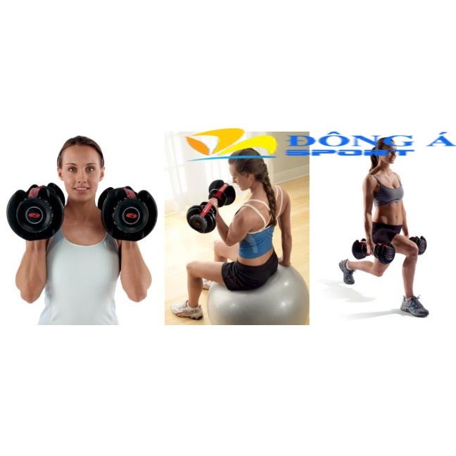 Bộ tạ tập tay Bowflex 552