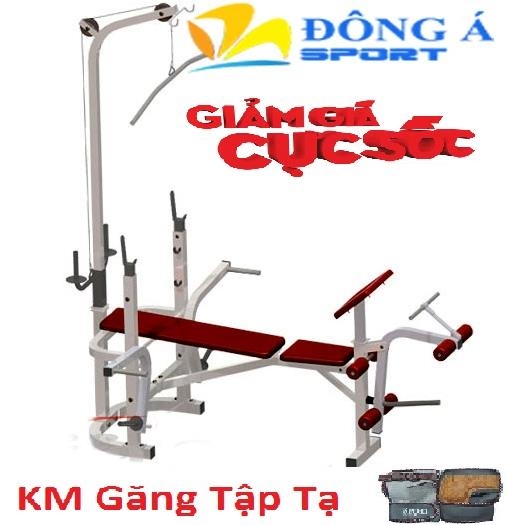 Ghế tập tạ đa năng Multy Ben 601521
