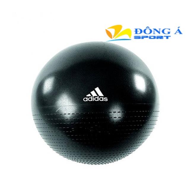 Bóng tập thể dục Adidas ADBL 12248