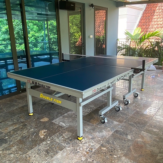 Bàn bóng bàn Double Fish 235
