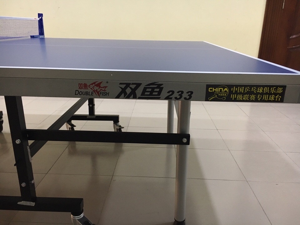 Bàn bóng bàn Double Fish 233
