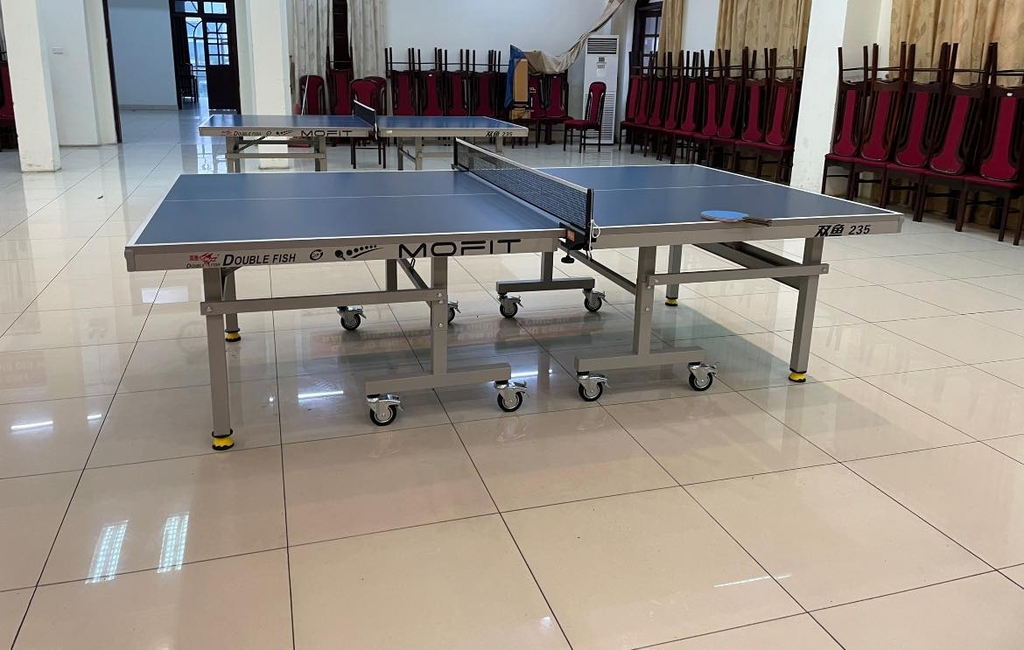 Bàn bóng bàn Double Fish 235