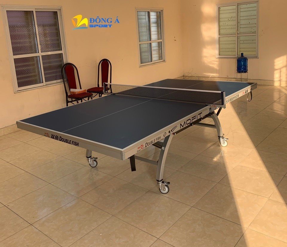 Bàn bóng bàn Double Fish 325